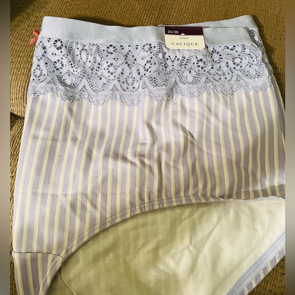 Panties Bundle (Lane Bryant) - Picture 2 of 7